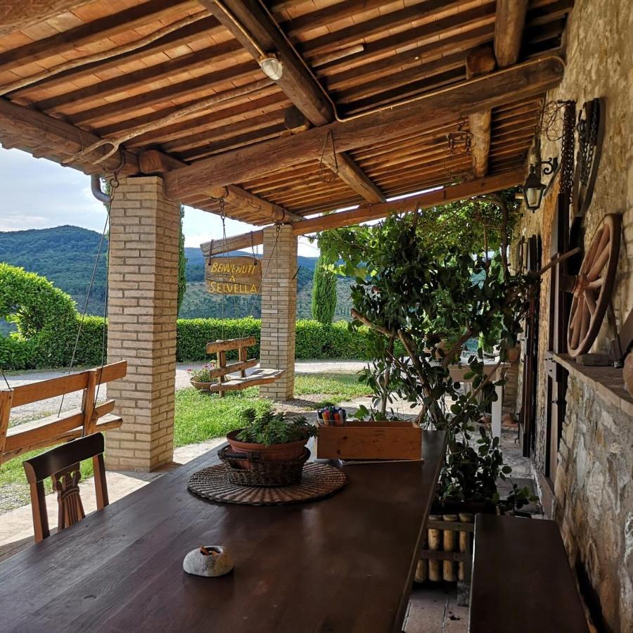 Agriturismo Selvella Allerona Ngoại thất bức ảnh