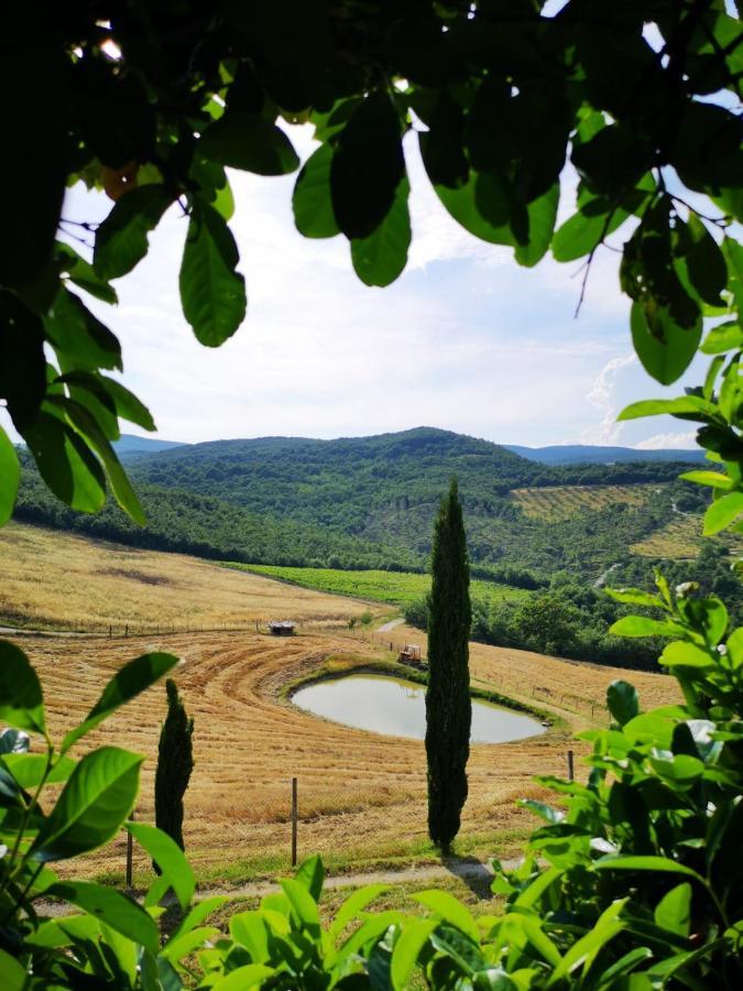 Agriturismo Selvella Allerona Ngoại thất bức ảnh