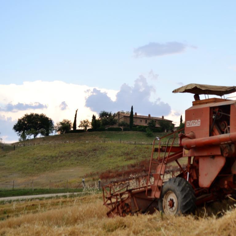 Agriturismo Selvella Allerona Ngoại thất bức ảnh